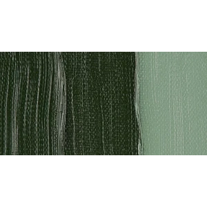 Van Gogh 40ml Yağlı Boya Seri:1 No:629 Green Earth