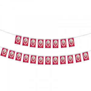 Vatan İpli Minik Boy Atalı Bayrak 40 Lı Vt806