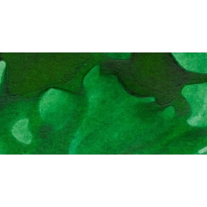 Winsor & Newton Ink Çini Mürekkebi 14ml 046 Brilliant Green