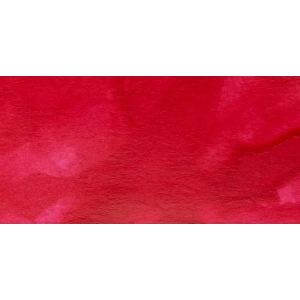 Winsor & Newton Ink Çini Mürekkebi 14ml 127 Carmine