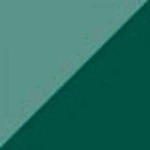 Zig Brushables 2 Renk Tonu Fırça Uçlu Marker Kalem 040 Pure Green