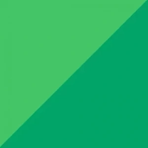 Zig Brushables 2 Renk Tonu Fırça Uçlu Marker Kalem 047 Spring Green