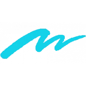 Zig Clean Color Real Brush Fırça Uçlu Marker Kalem 031 Cobalt Blue