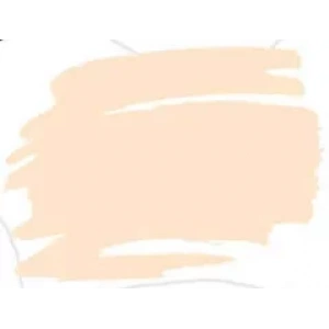 Zig Kurecolor Fine & Brush For Manga Çizim Kalemi 418 Champagne