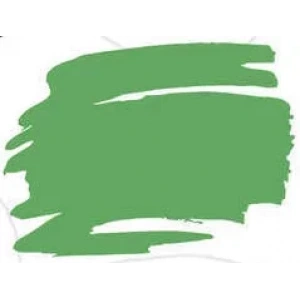 Zig Kurecolor Fine & Brush For Manga Çizim Kalemi 505 May Green