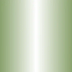 Zig Writer Metallic Colours Çift Uçlu Marker Kalem 128 Light Green