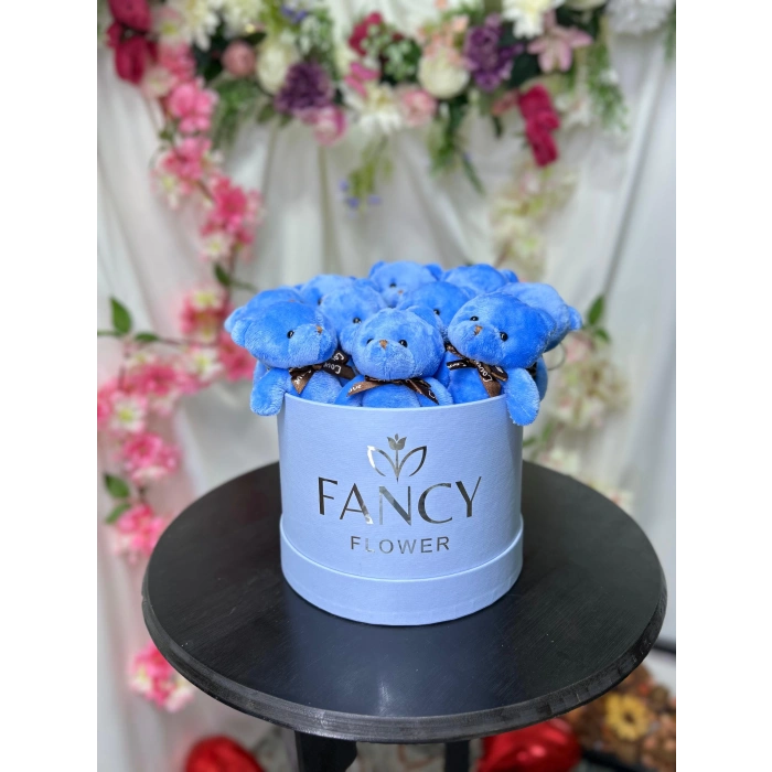 Mavi Ayıcık Kutusu