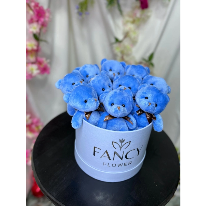 Mavi Ayıcık Kutusu