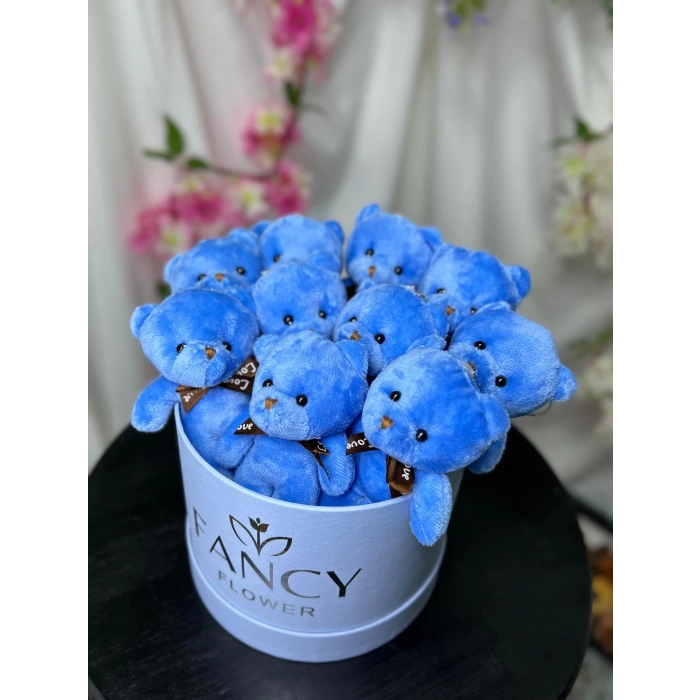 Mavi Ayıcık Kutusu