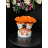 Peluş Ayıcık Buketi