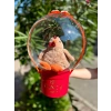 Peluş Tavuk ve Kinder Joy Balon Kutu