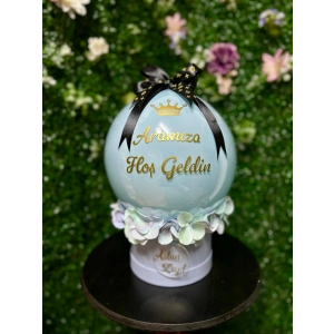 Islak Dokulu Ortanca Balon Kutusu