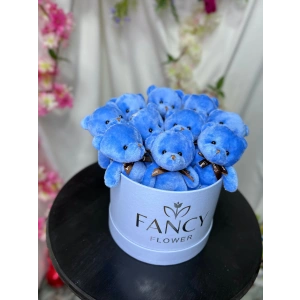 Mavi Ayıcık Kutusu