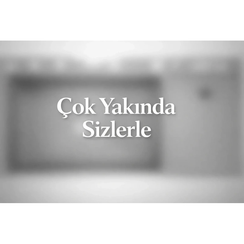 Schnelle SCH-P33100 13 Fonksiyonlu Akıllı Mutfak Evyesi