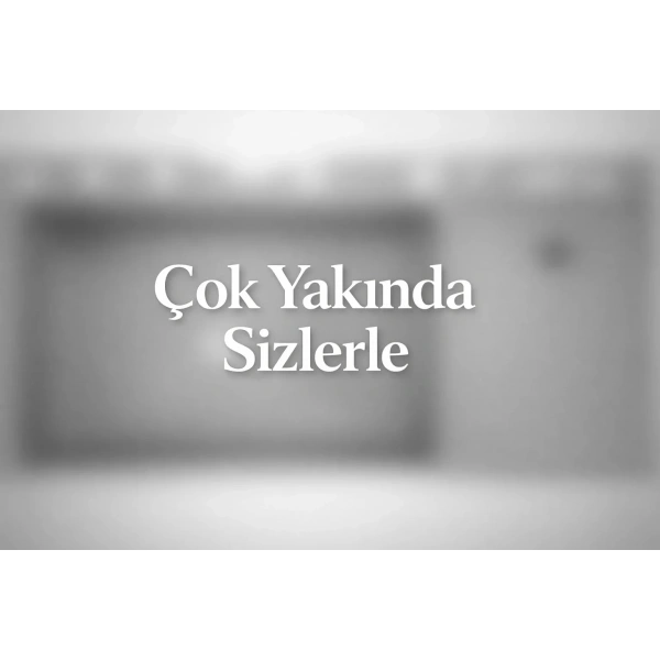 Schnelle SCH-P34100 17 Fonksiyonlu Akıllı Mutfak Evyesi
