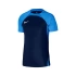 Nike Forma / T-shirt M Nk Df Strke III Jsy Ss