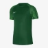 Nike M DF Academy Jsy SS Erkek Forma