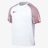 Nike M DF Academy Jsy SS Erkek Forma