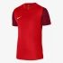 Nike M Dri-FIT Trophy V Jersey SS Erkek Forma