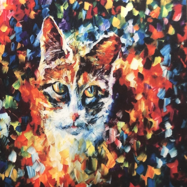 Mini Sevimli Canvas Tablo 19X19 cm M11 Solmaz, Silinebilir, Yüksek Çözünürlüklü Baskı Kalitesi