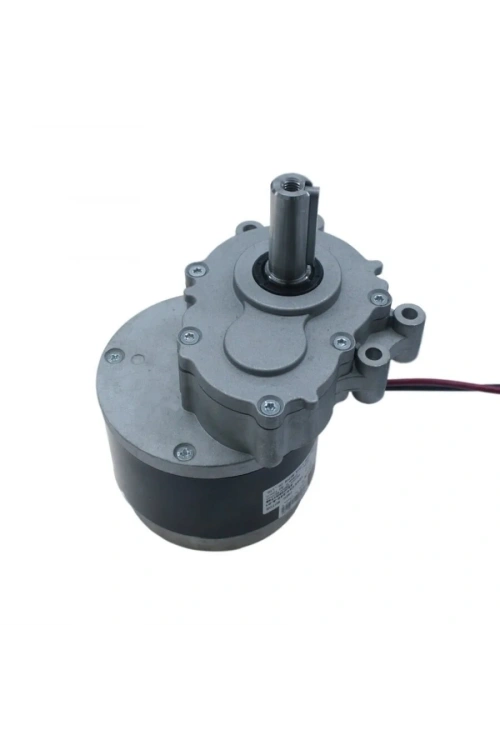 102ZY24-250-A-01 24V 82Rpm Yüksek Torklu Bisiklet Motoru