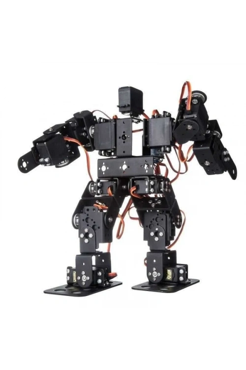 13 Eksenli İnsansı Robot - Humanoid Robot