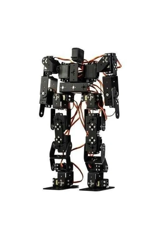 17 Eksenli İnsansı Robot - Humanoid Robot