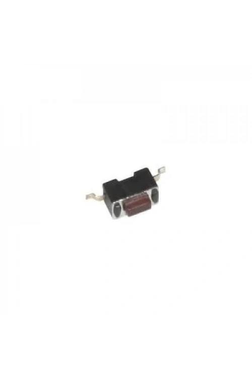 2 Pinli 6x3.5x1mm Buton