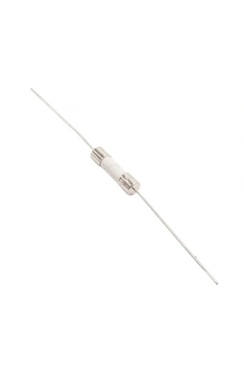 3.15A 5x20mm Gecikmeli Seramik Sigorta