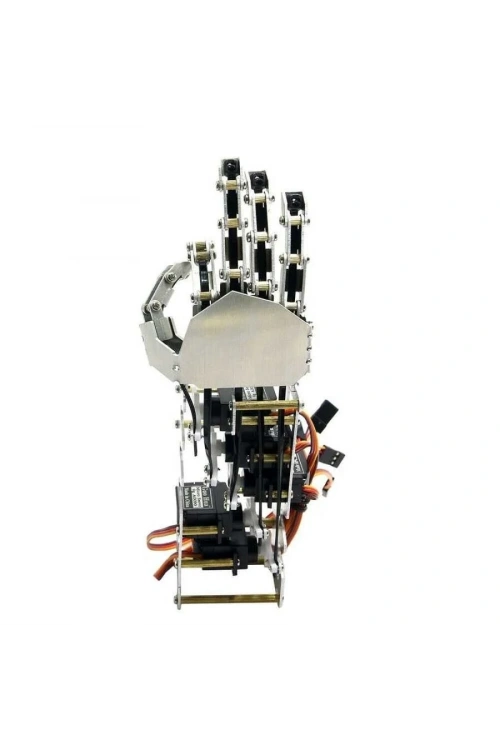 5 Eksenli Robot Kol - Sağ