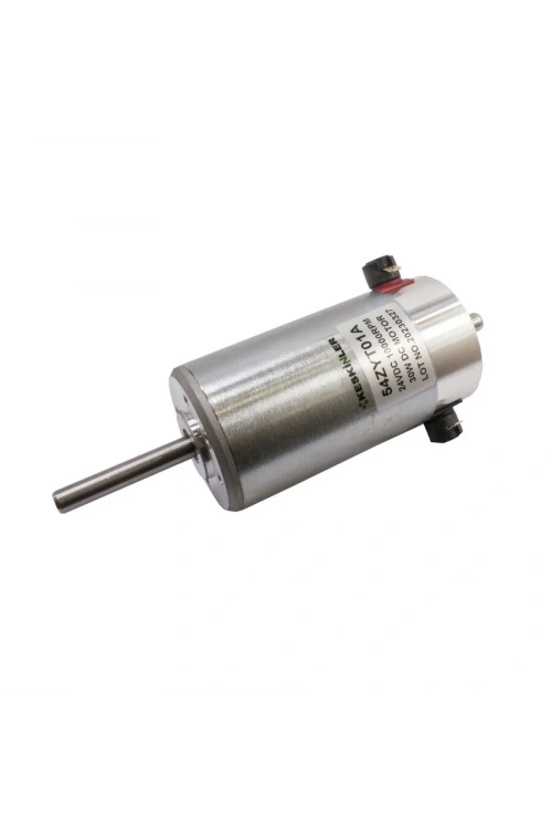 54ZYT01A 24V 10000RPM DC Motor