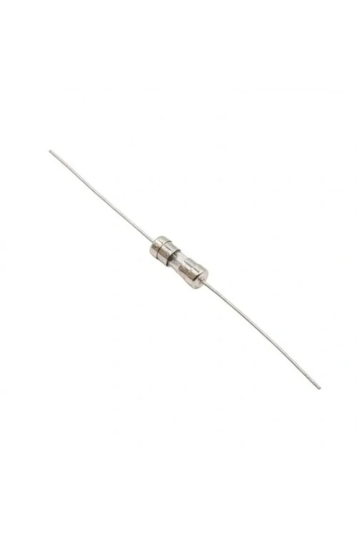 5A 3J 3.6x10mm Cam Sigorta