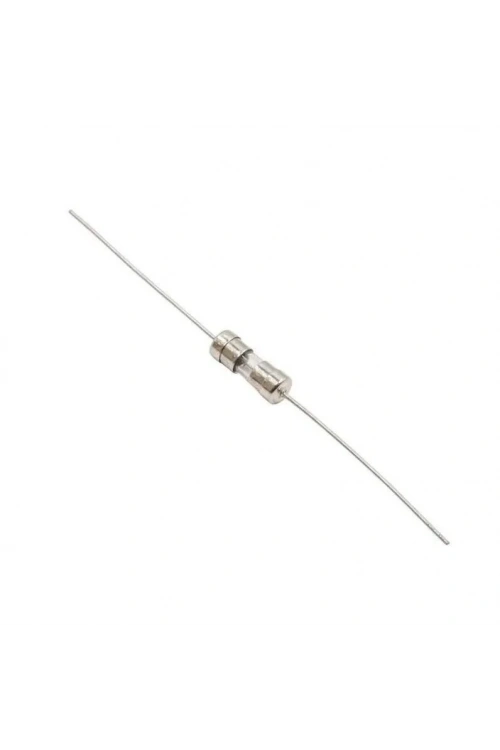6.3A 3.6x10mm Cam Sigorta