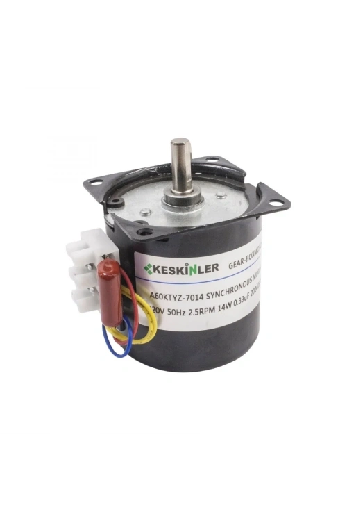 A60-KTYZ 2.5RPM 14W AC Senkron Motor