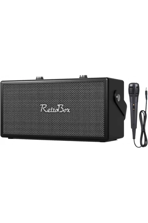 ACS-19 20W Gücünde 2x3 İnç Hoparlörlü Mikrofonlu Retro Müzik Kutusu