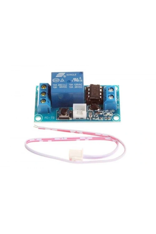 Butonlu Röle Modülü 24V 10A
