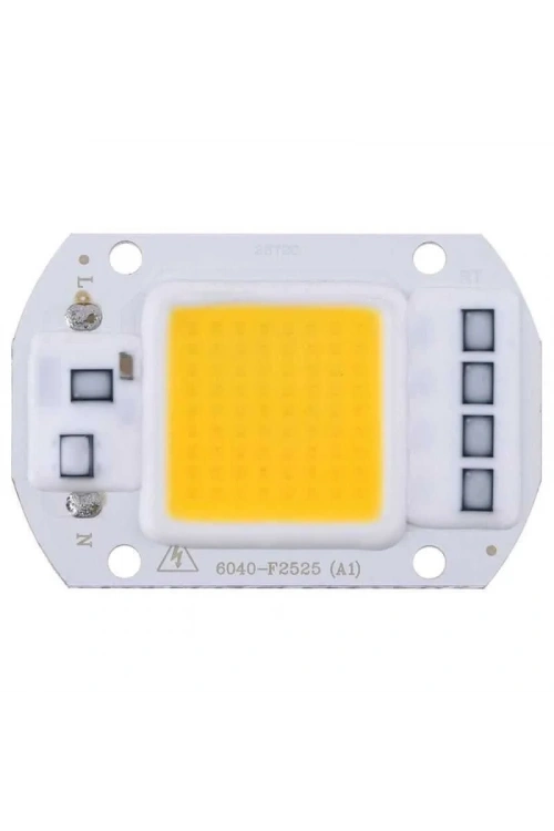 Gün Işığı 220V Projektör Cob Led 50W Driver Çipli