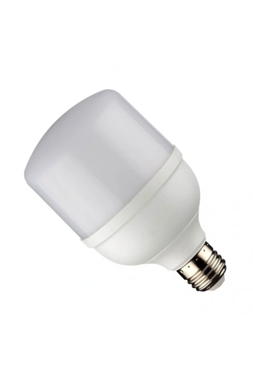 NOAS YL95-2001 20W 6500K Led Torch Ampul