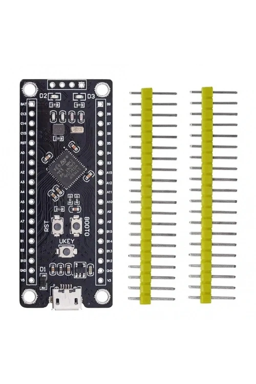 STM32F401CCU6 ARM STM32 Geliştirme Kartı