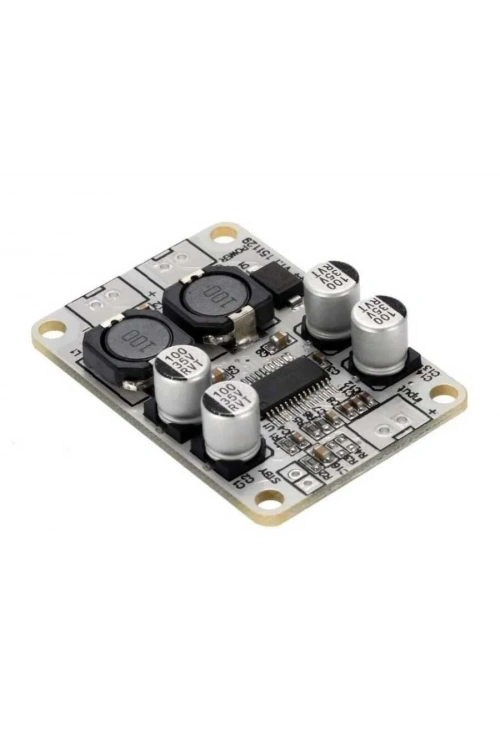 TPA3110 1*30W Mono Amfi Devresi