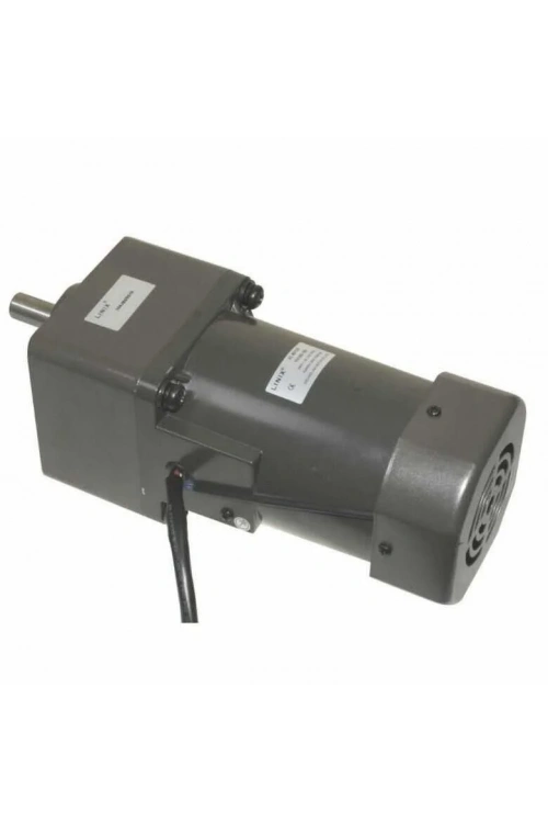 YN100-180 220V 13RPM AC Motor