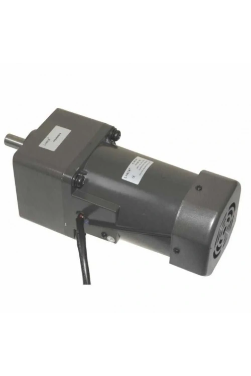 YN100-180 220V 260RPM AC Motor