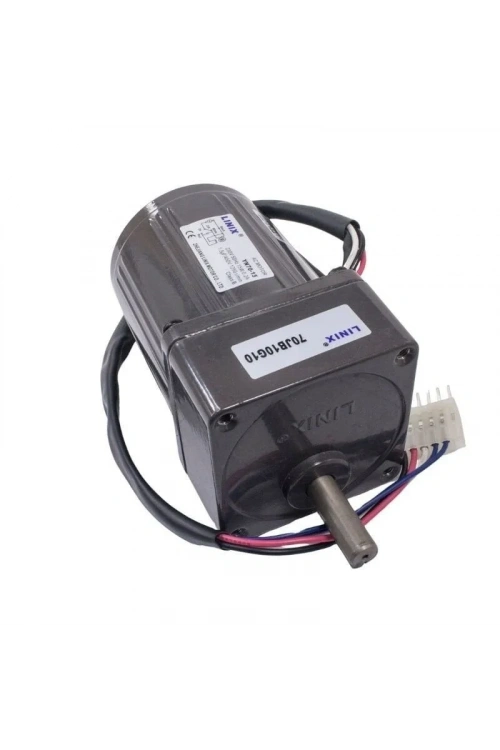 YN70-15 220V 125 RPM AC Motor