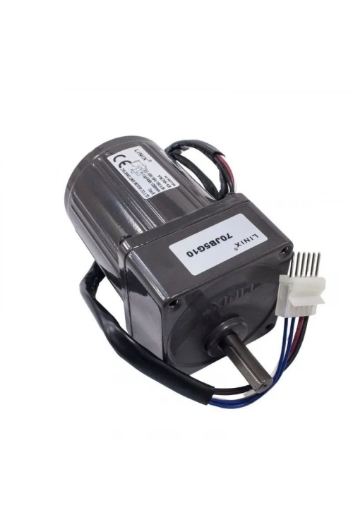 YN70-15 220V 250 RPM AC Motor