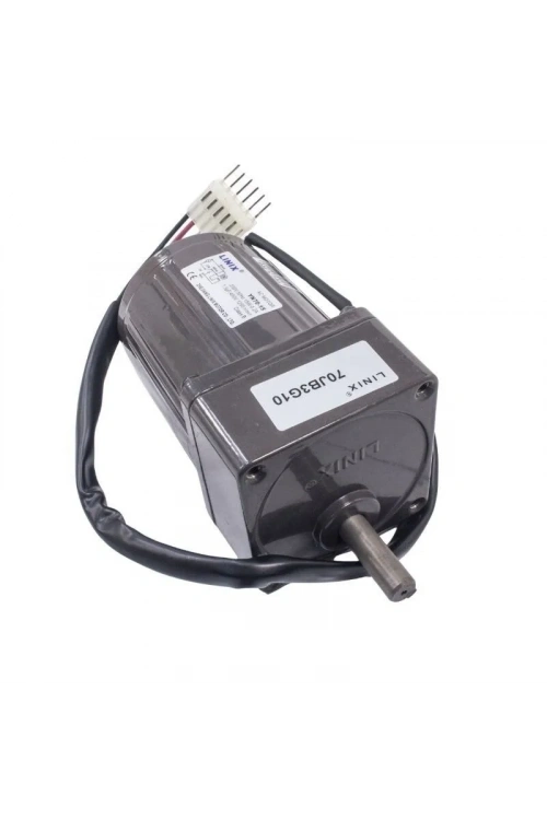 YN70-15 220V 416 RPM AC Motor
