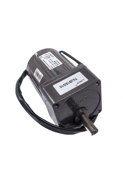 YN70-15 220V 83 RPM AC Motor