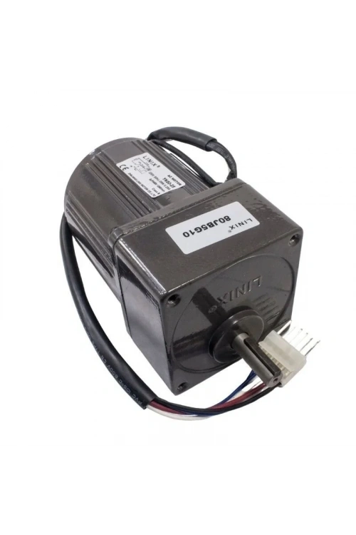YN80-25 220V 250RPM AC Motor