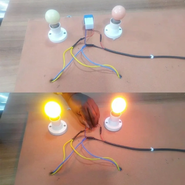 12V Fotosel Otomatik Işık Sensörü - Gece Sensörü