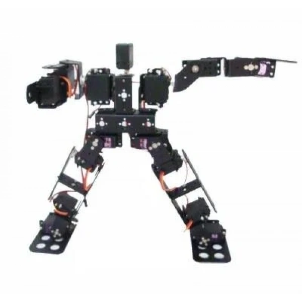 15 Eksenli İnsansı Robot - Humanoid Robot