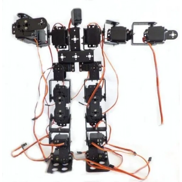 19 Eksenli İnsansı Robot - Humanoid Robot